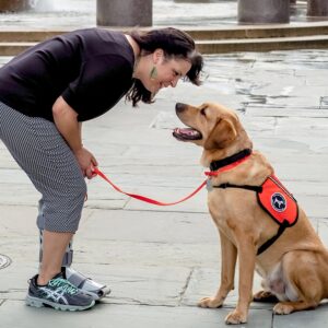 Can Dogs Hear Tinnitus?