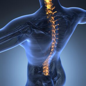 What Kind of Recovery Is Expected After a Spinal Cord Injury