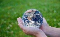 6 Ways You Can Help the Environment
