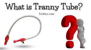 Exploring the World of "Tranny tube"
