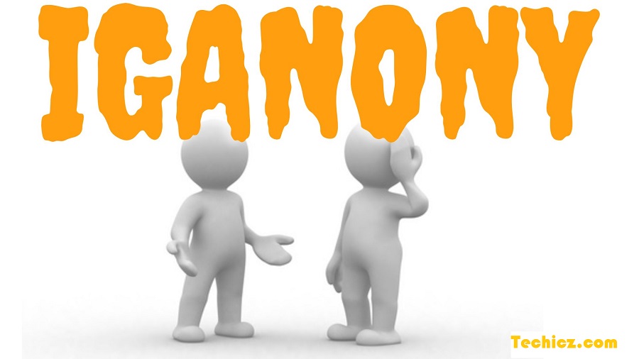 Unmasking the World of IgAnony: Your Gateway to Discreet Instagram Discovery
